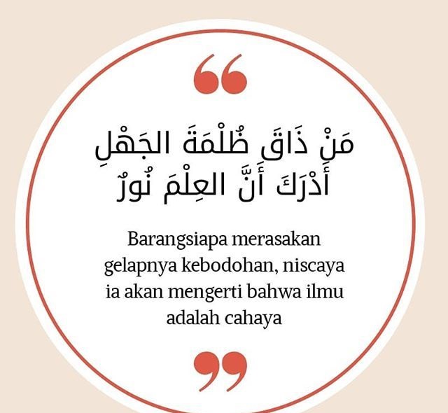 أقوال عن الجهل