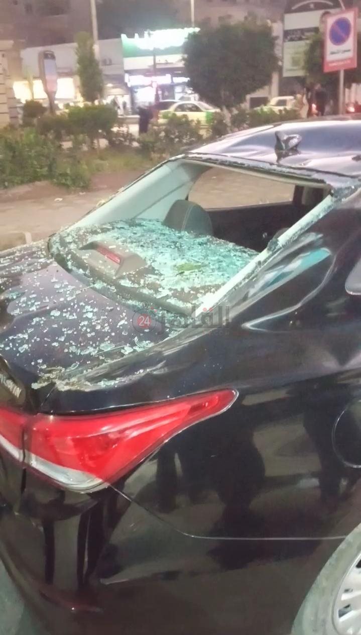 تهشم عدد من السيارات إثر سقوط شجرة عليها في البحيرة