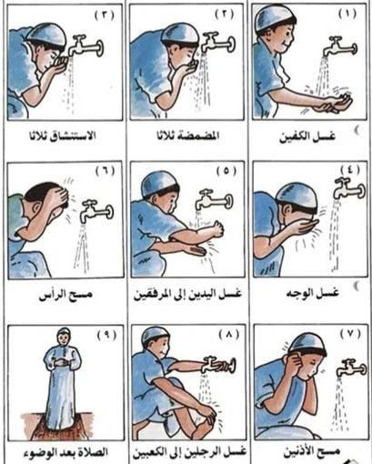 كيفية الوضوء للصلاة بالترتيب