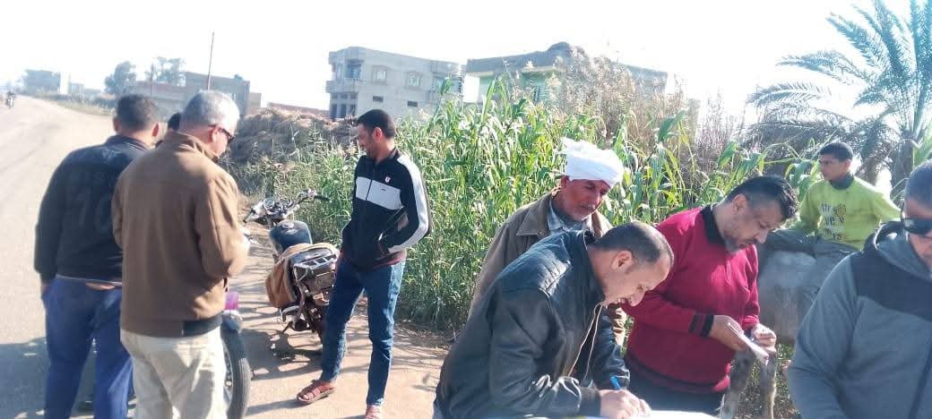 الأراضي الزراعية ببورسعيد 