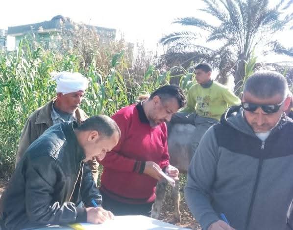 الأراضي الزراعية ببورسعيد 