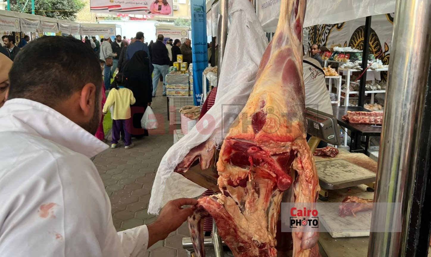 أسعار اللحوم 2