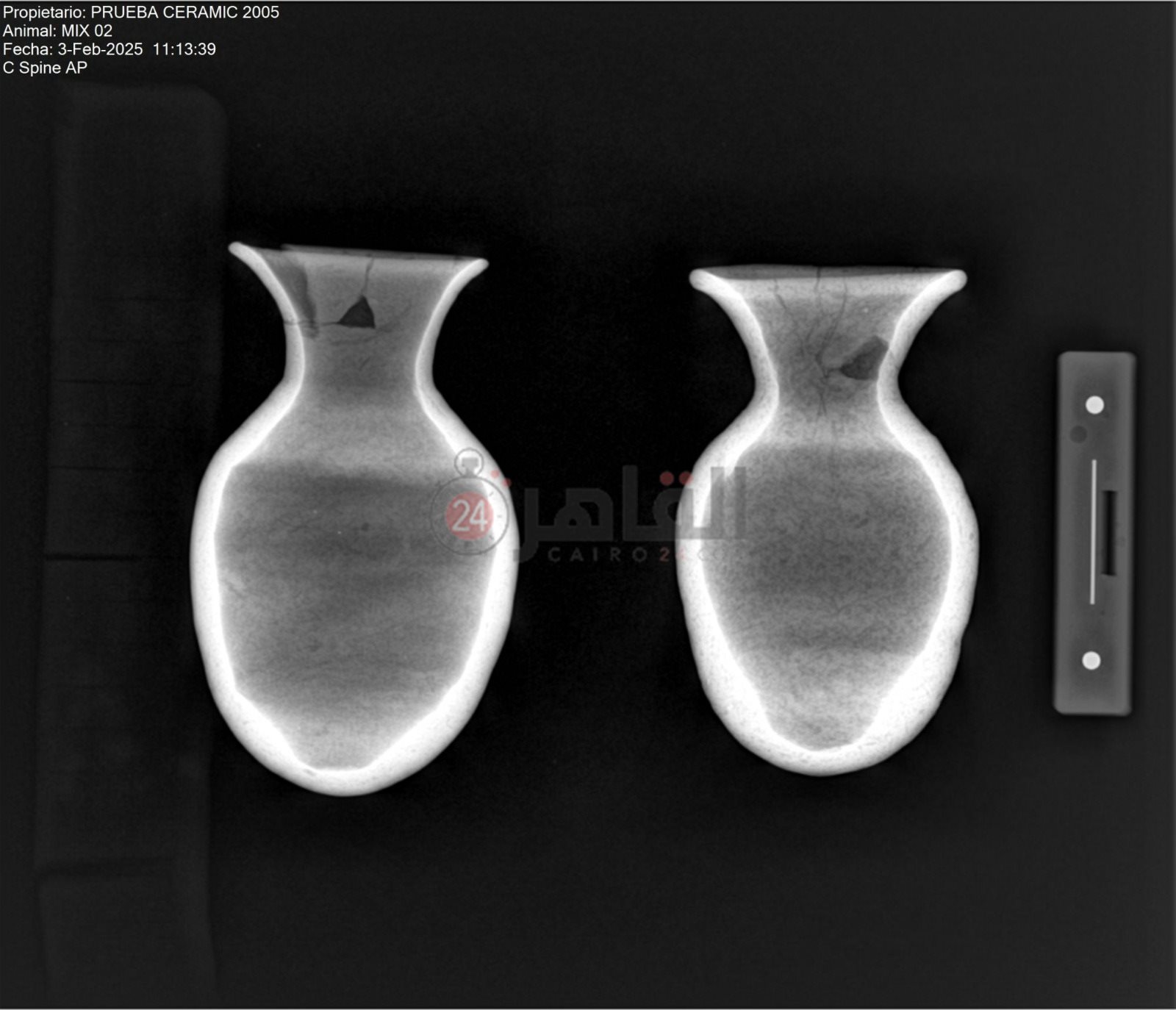 البعثة الإسبانية بالأقصر تبدأ في تحليل الفخار المُكتشف حديثا (3)