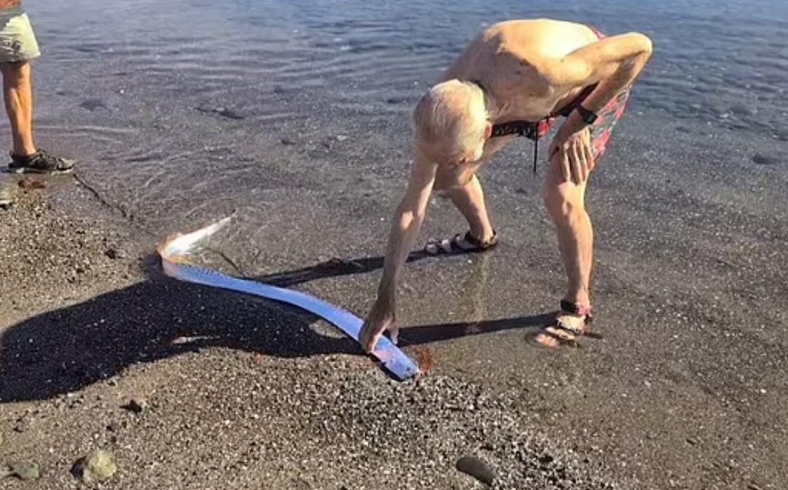 سمكة يوم القيامة