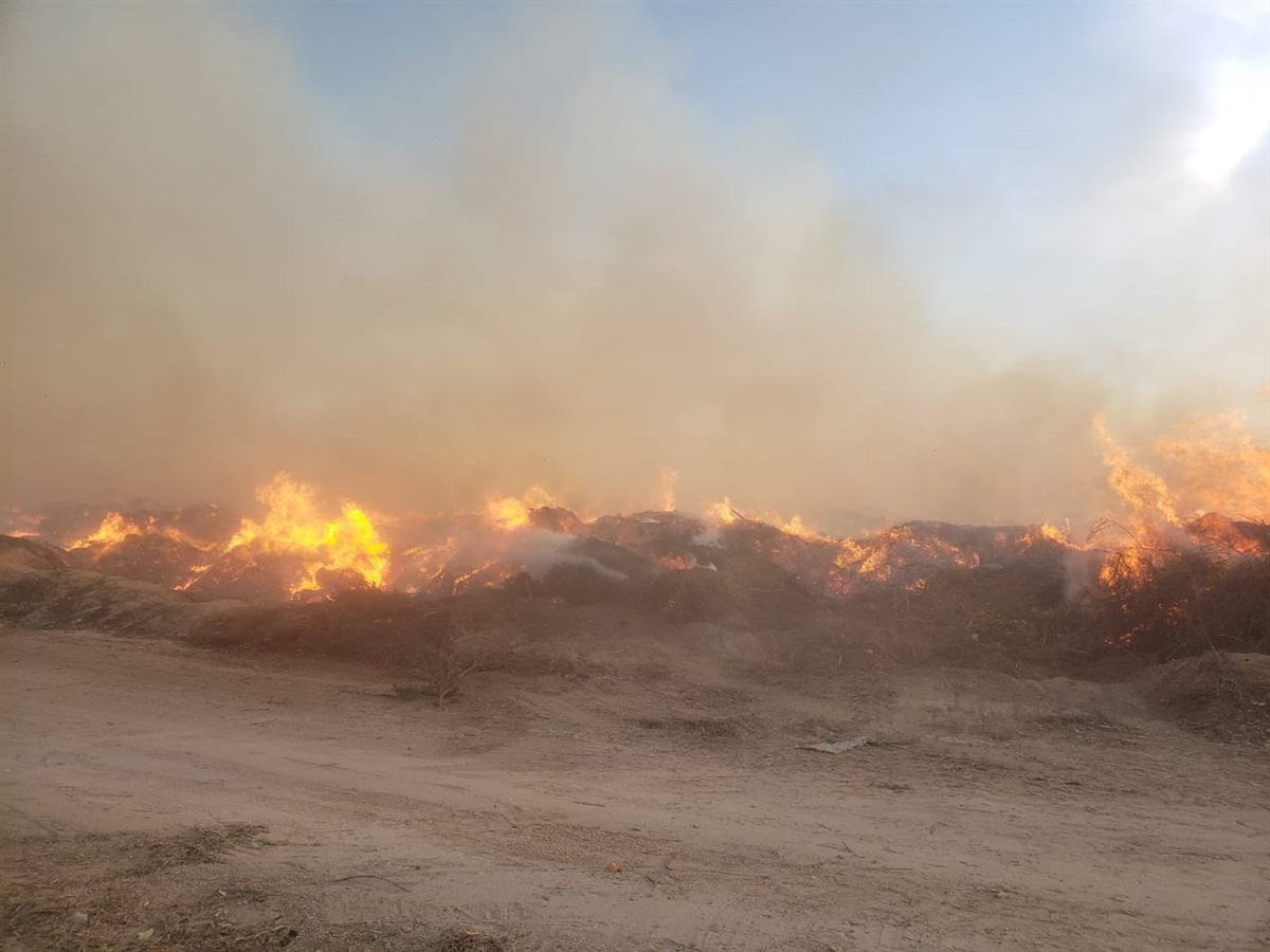 حريق داخل مخلفات الأراضي الزراعية والأشجار بقطعة أرض بقرية النعناعي بالبحيرة