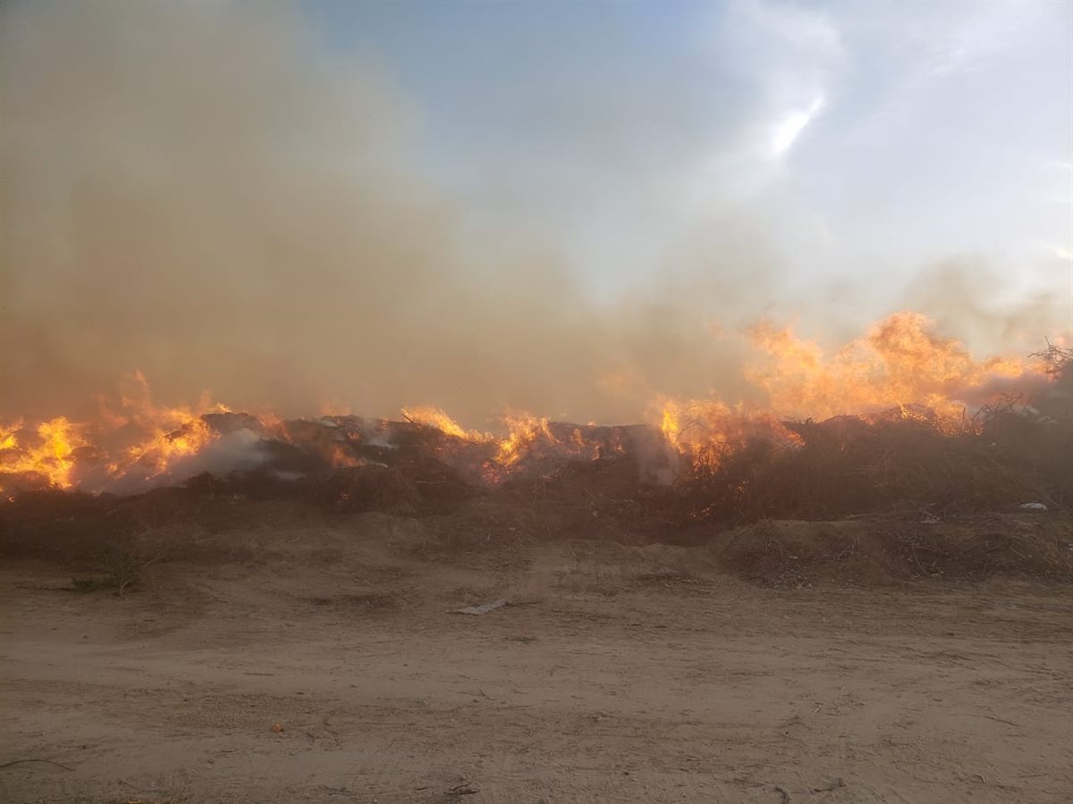 حريق داخل مخلفات الأراضي الزراعية والأشجار بقطعة أرض بقرية النعناعي بالبحيرة