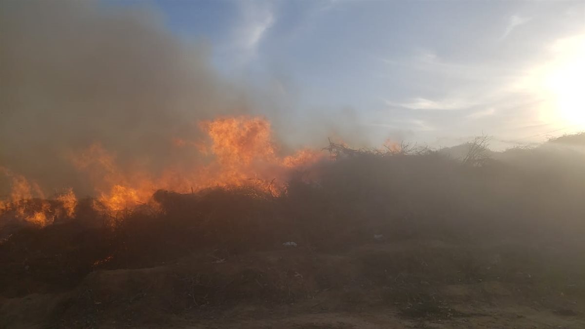 حريق داخل مخلفات الأراضي الزراعية والأشجار بقطعة أرض بقرية النعناعي بالبحيرة