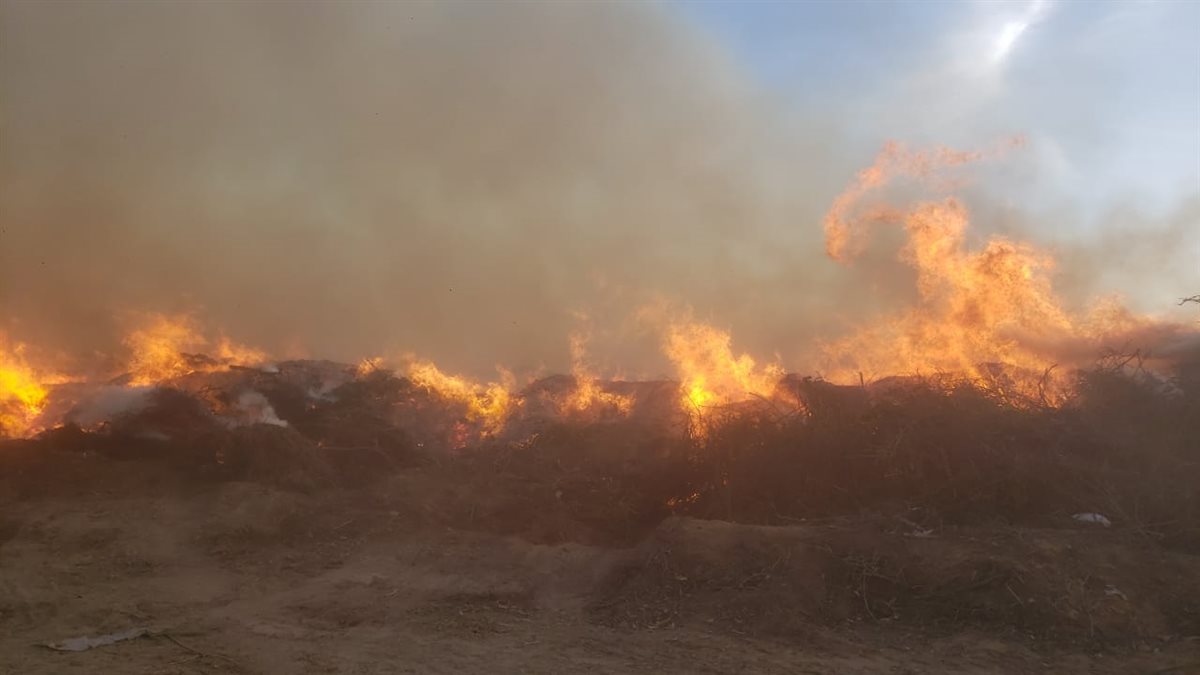 حريق داخل مخلفات الأراضي الزراعية والأشجار بقطعة أرض بقرية النعناعي بالبحيرة