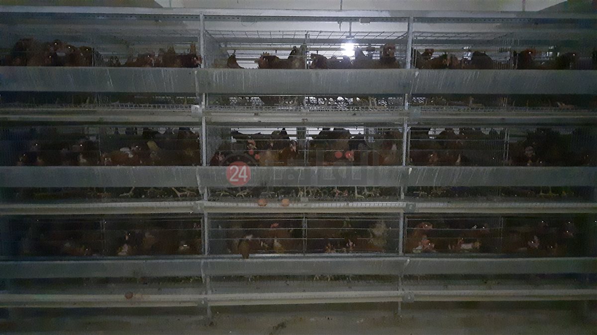 ٢٠٢٥٠٢٢٣_١٢٢٣٤٧