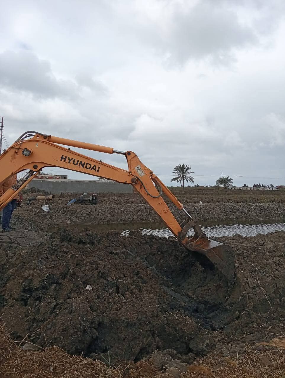 إزالة تعديات على الأراضي الزراعية بجنوب بورسعيد