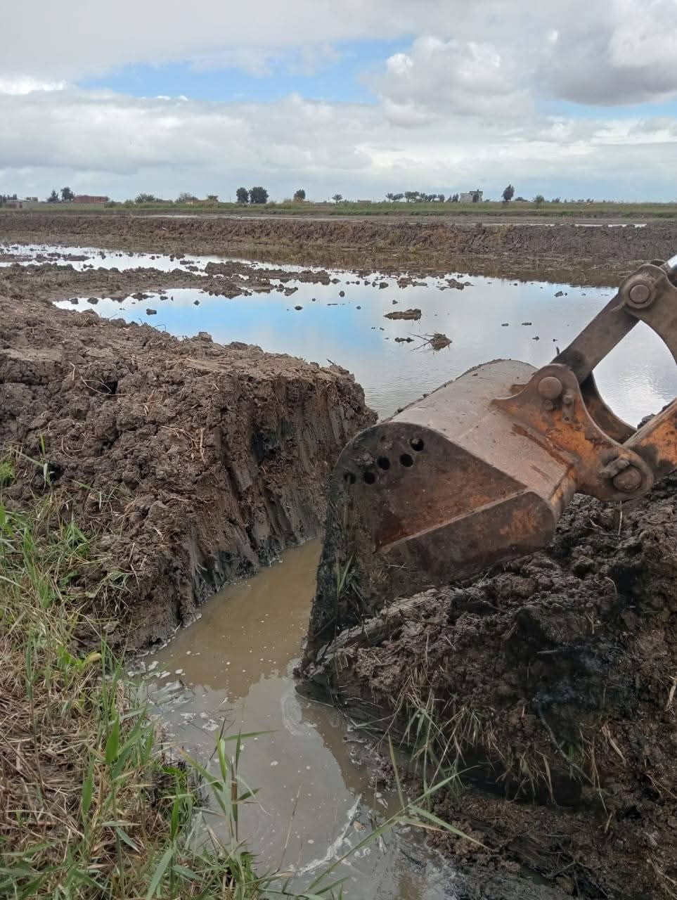 إزالة تعديات على الأراضي الزراعية بجنوب بورسعيد