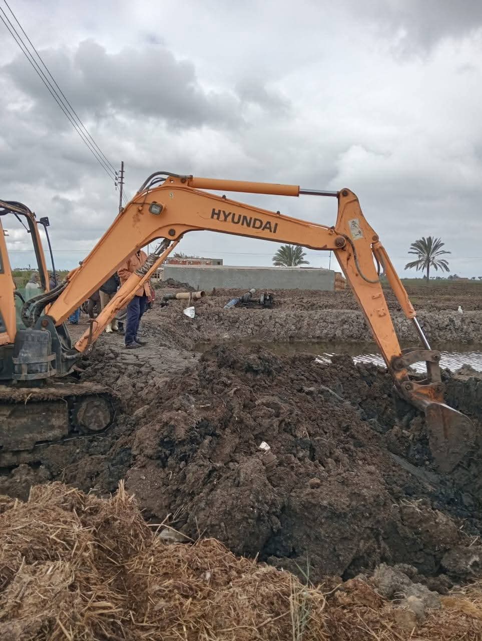 إزالة تعديات على الأراضي الزراعية بجنوب بورسعيد