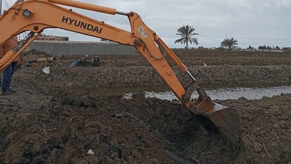 إزالة تعديات على الأراضي الزراعية بجنوب بورسعيد - قص