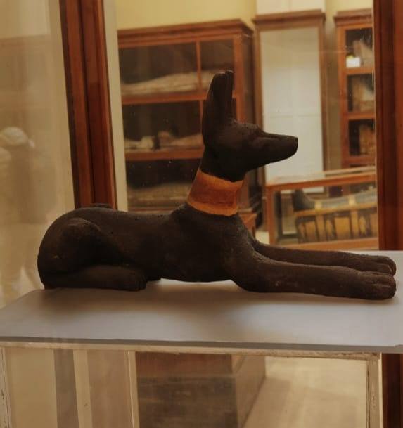 تمثال نادر لـ المعبود أنوبيس
