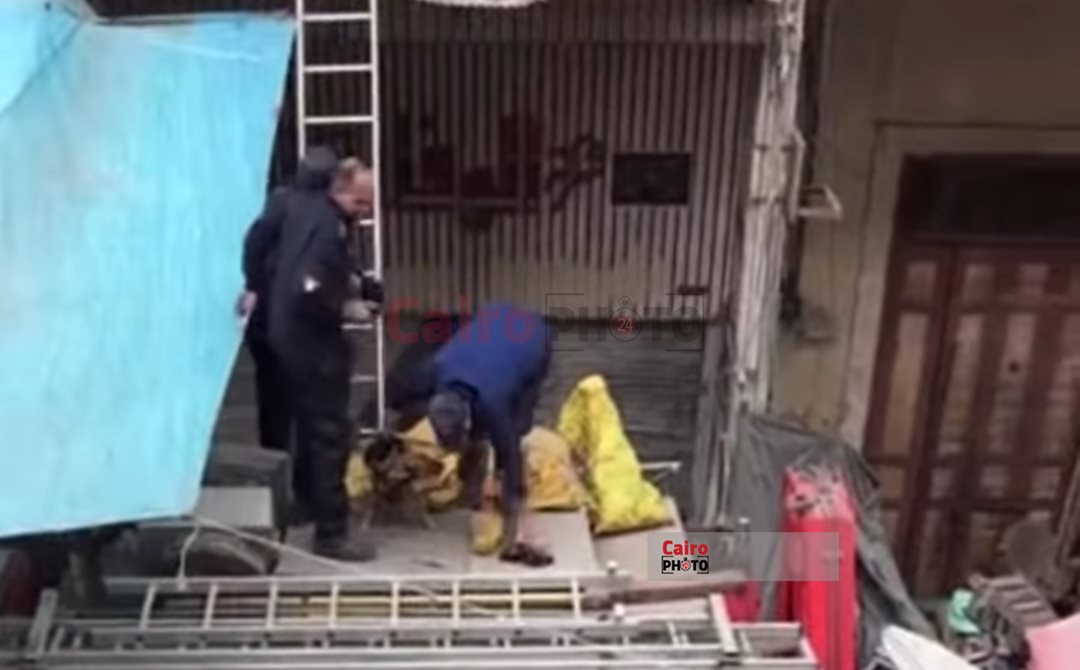 انقاذ كلب عالق ببورسعيد 