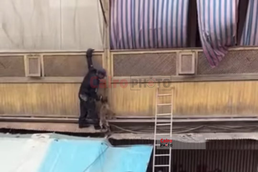 انقاذ كلب عالق ببورسعيد 