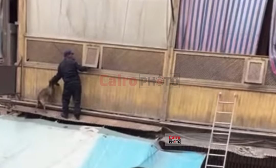 انقاذ كلب عالق ببورسعيد 