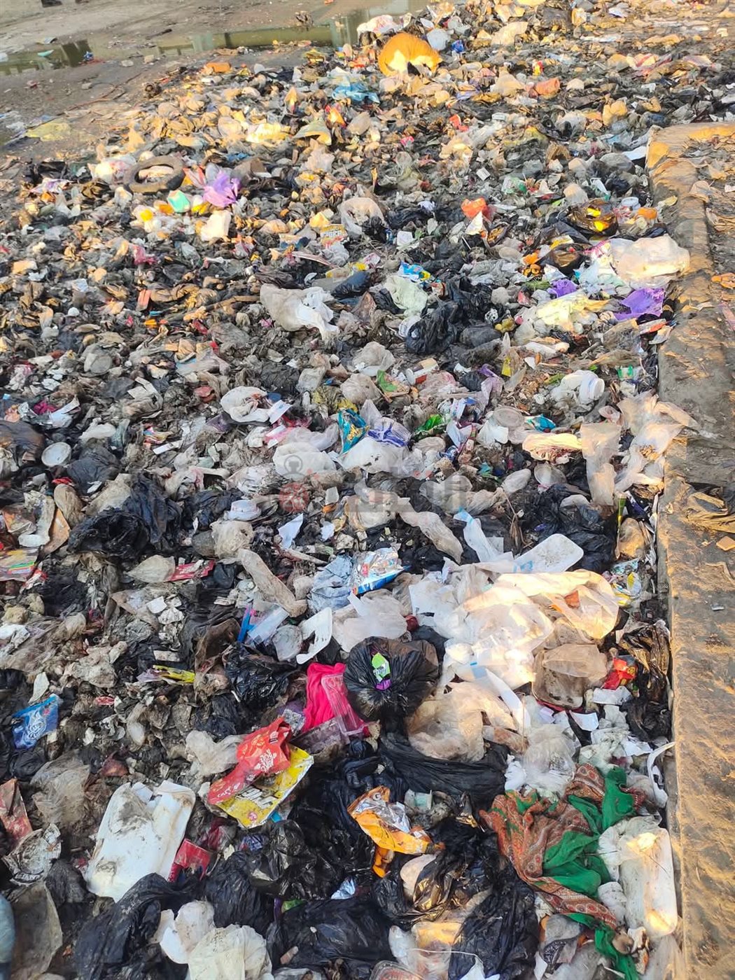 القمامة في شوارع بورسعيد 