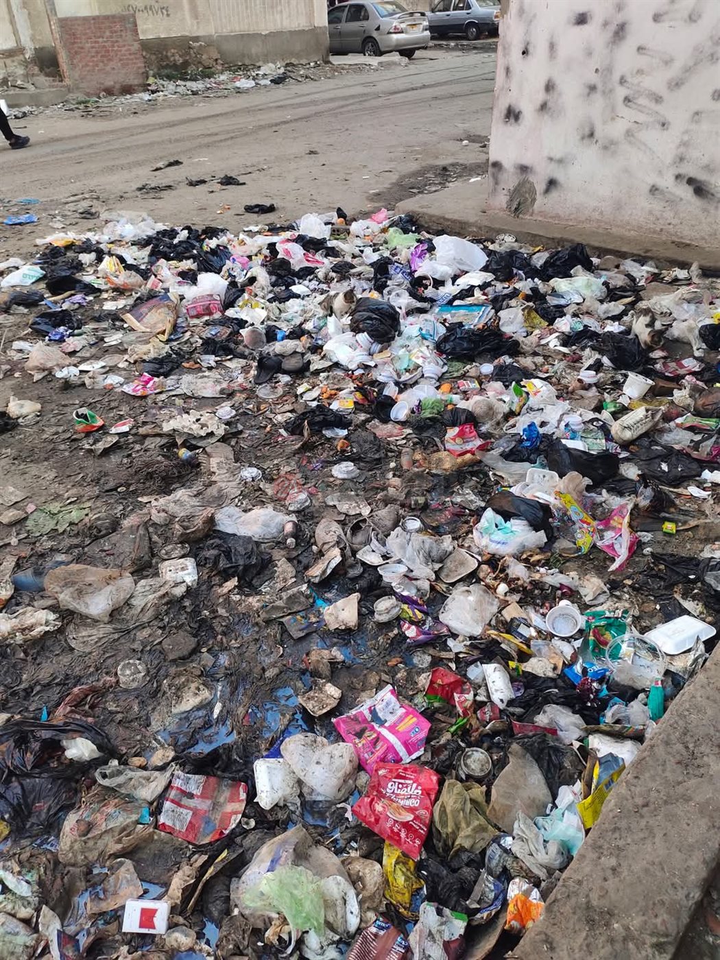 القمامة في شوارع بورسعيد 