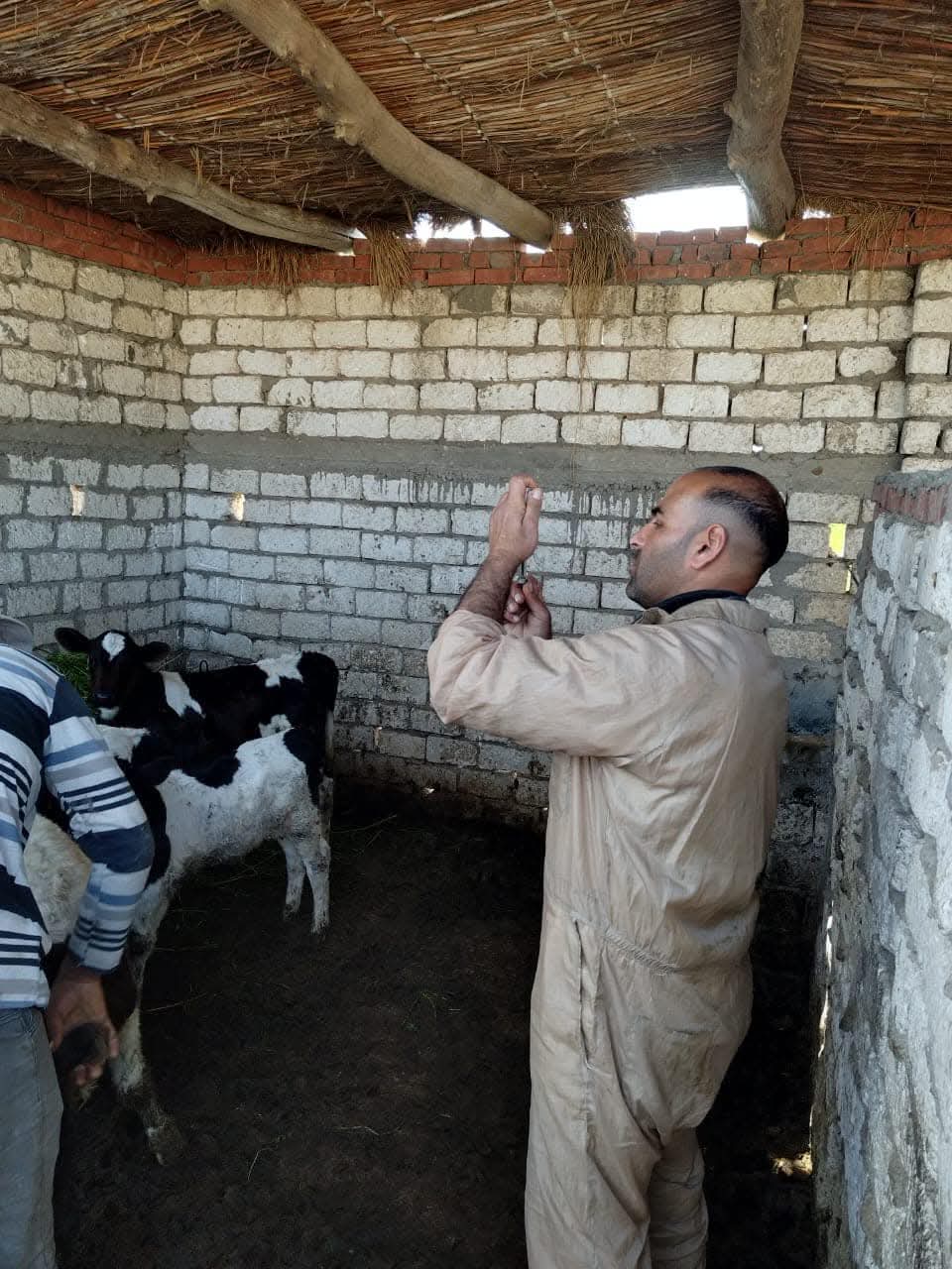 سقوط رئيس الطب الوقائي في بئر 