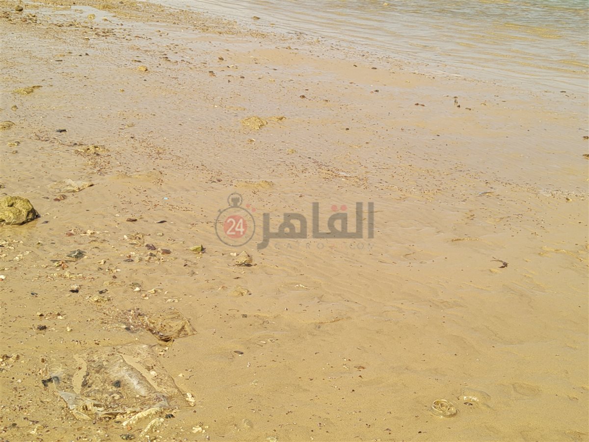 تراجع وانحسار لمياه البحر بالغردقة 