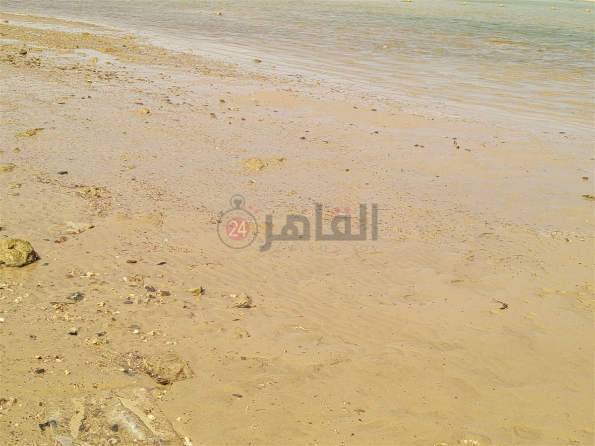 تراجع وانحسار لمياه البحر بالغردقة 