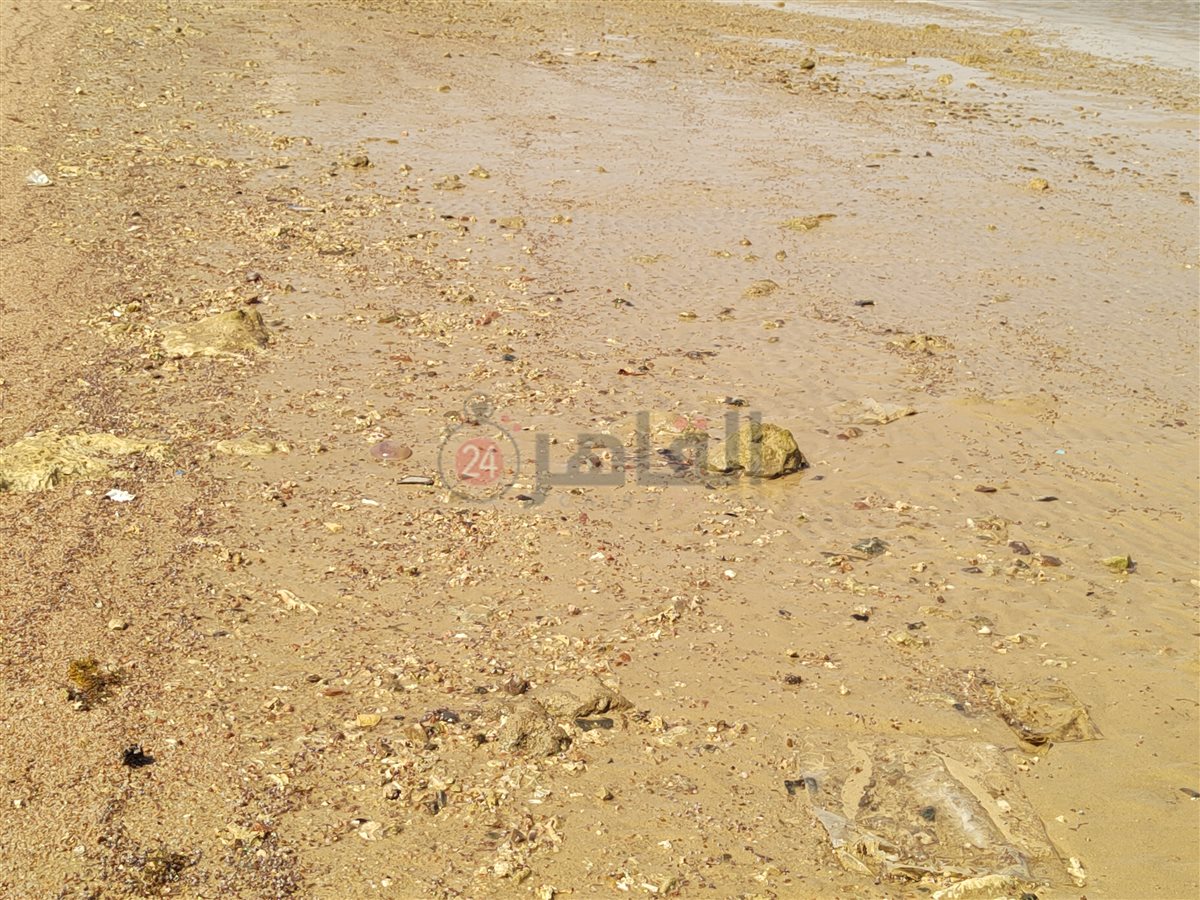 تراجع وانحسار لمياه البحر بالغردقة 