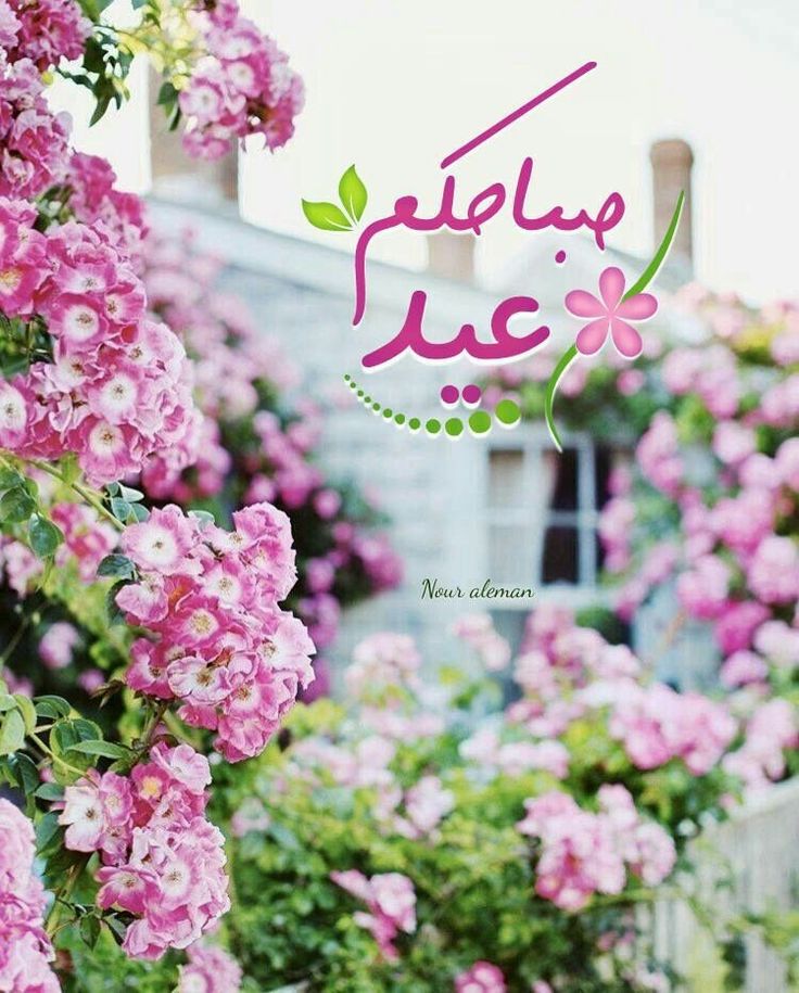 تهنئة عيد الفطر مكتوبة للأصدقاء 5