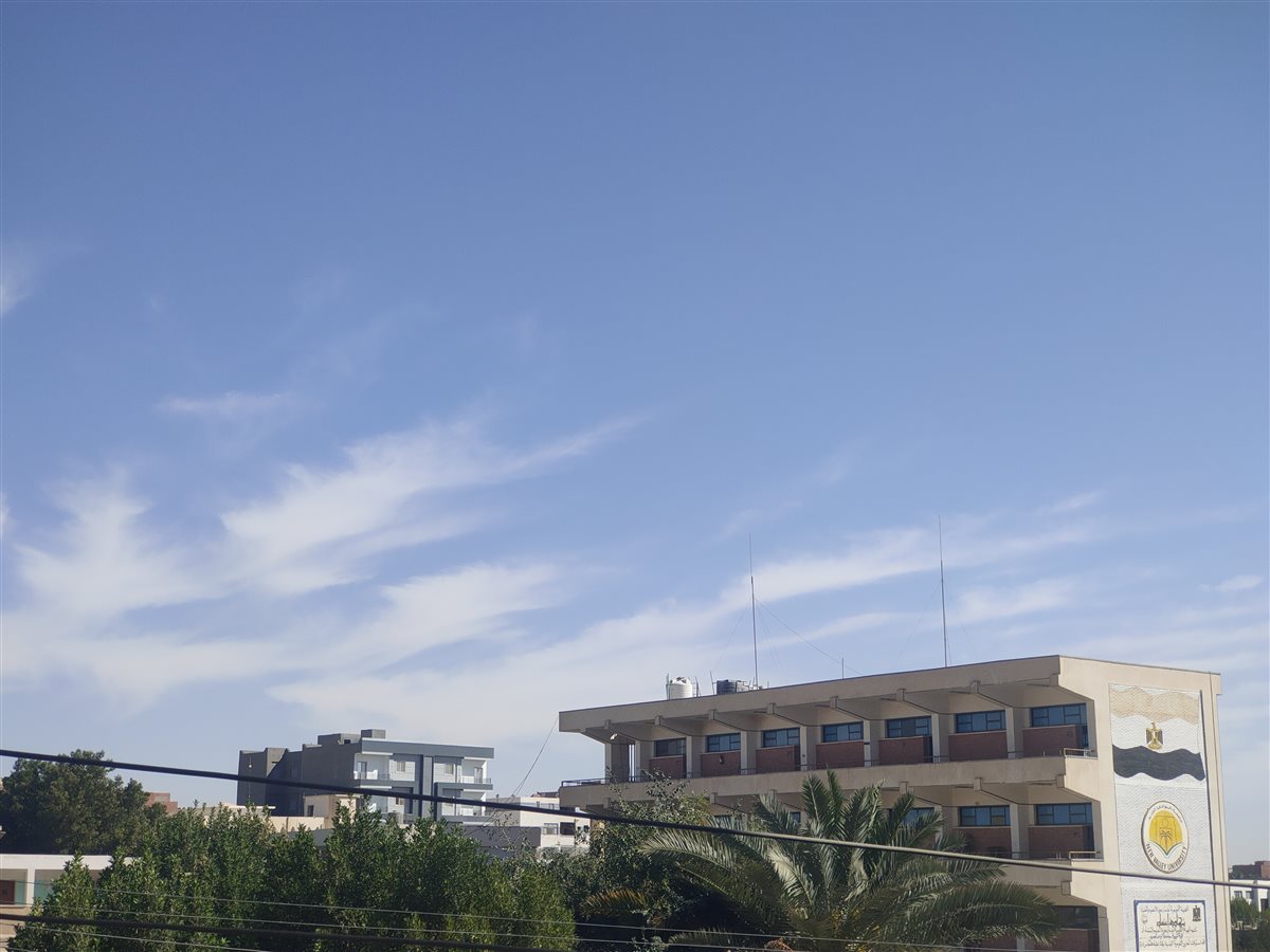 محافظة الوادى الجديد