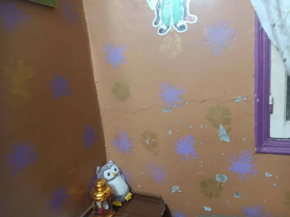 المنزل الكائن بقرية الأورمان التابعة لمركز طلخا