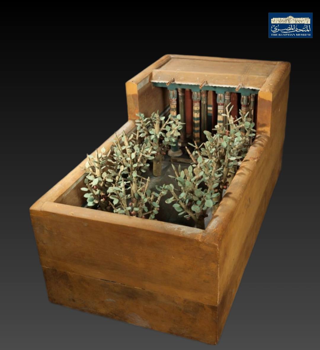 نموذج زراعة المصري القديم لأشجار الفاكهة