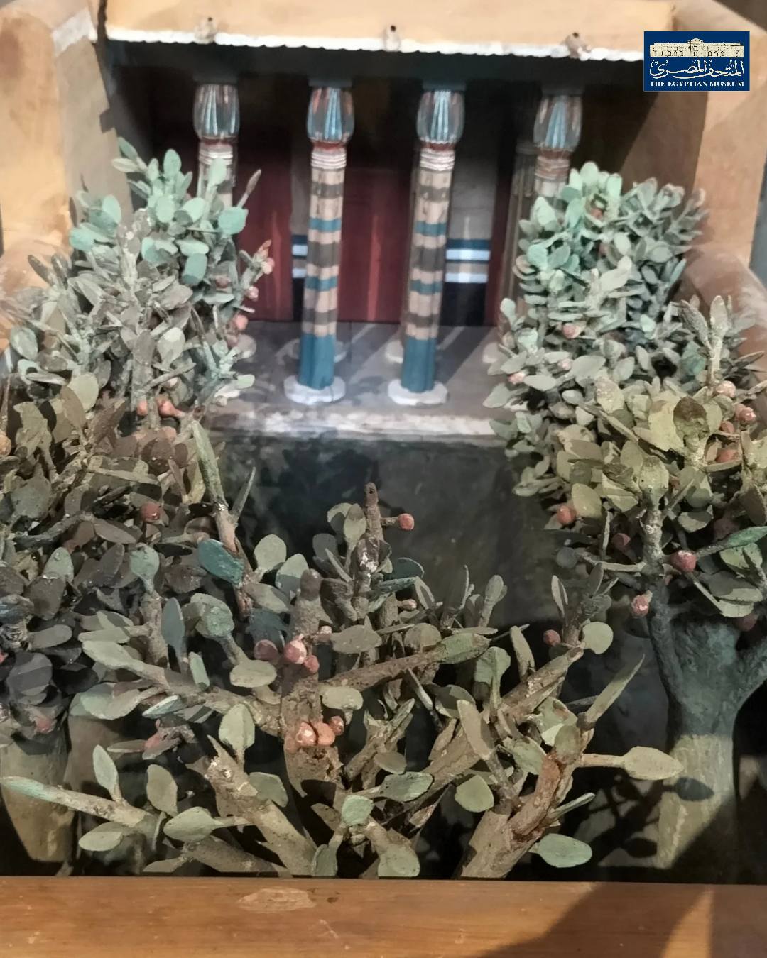 نموذج زراعة المصري القديم لأشجار الفاكهة