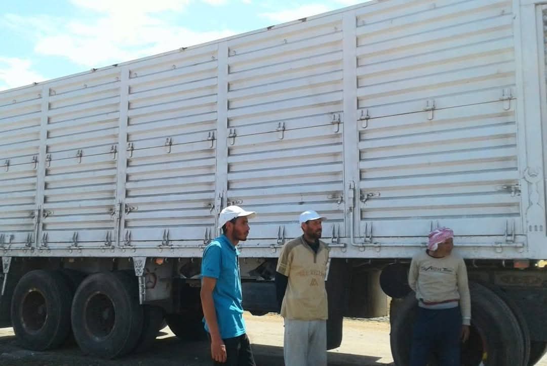 محصول البنجر ببورسعيد 