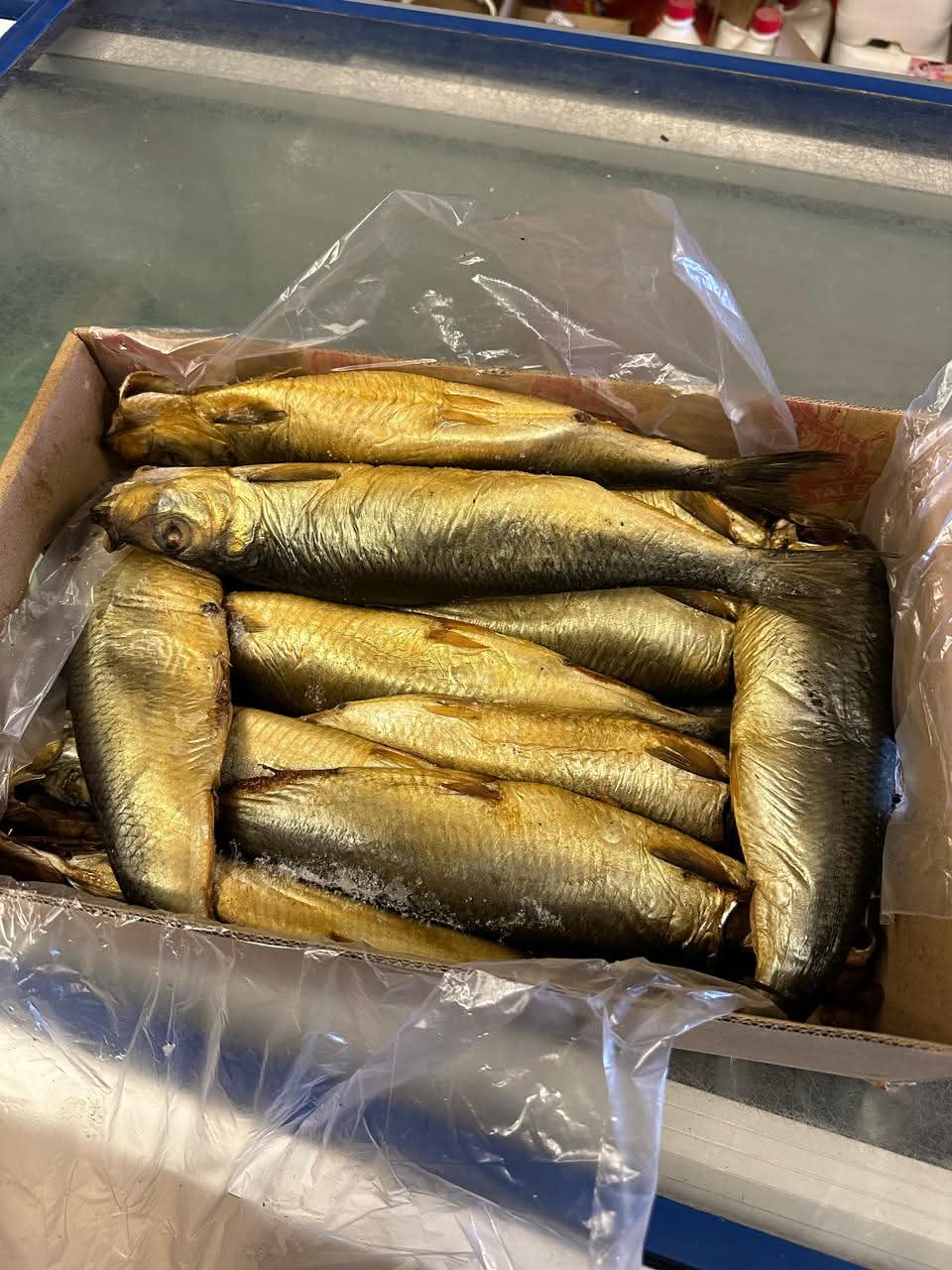 جانب من المضبوطات 