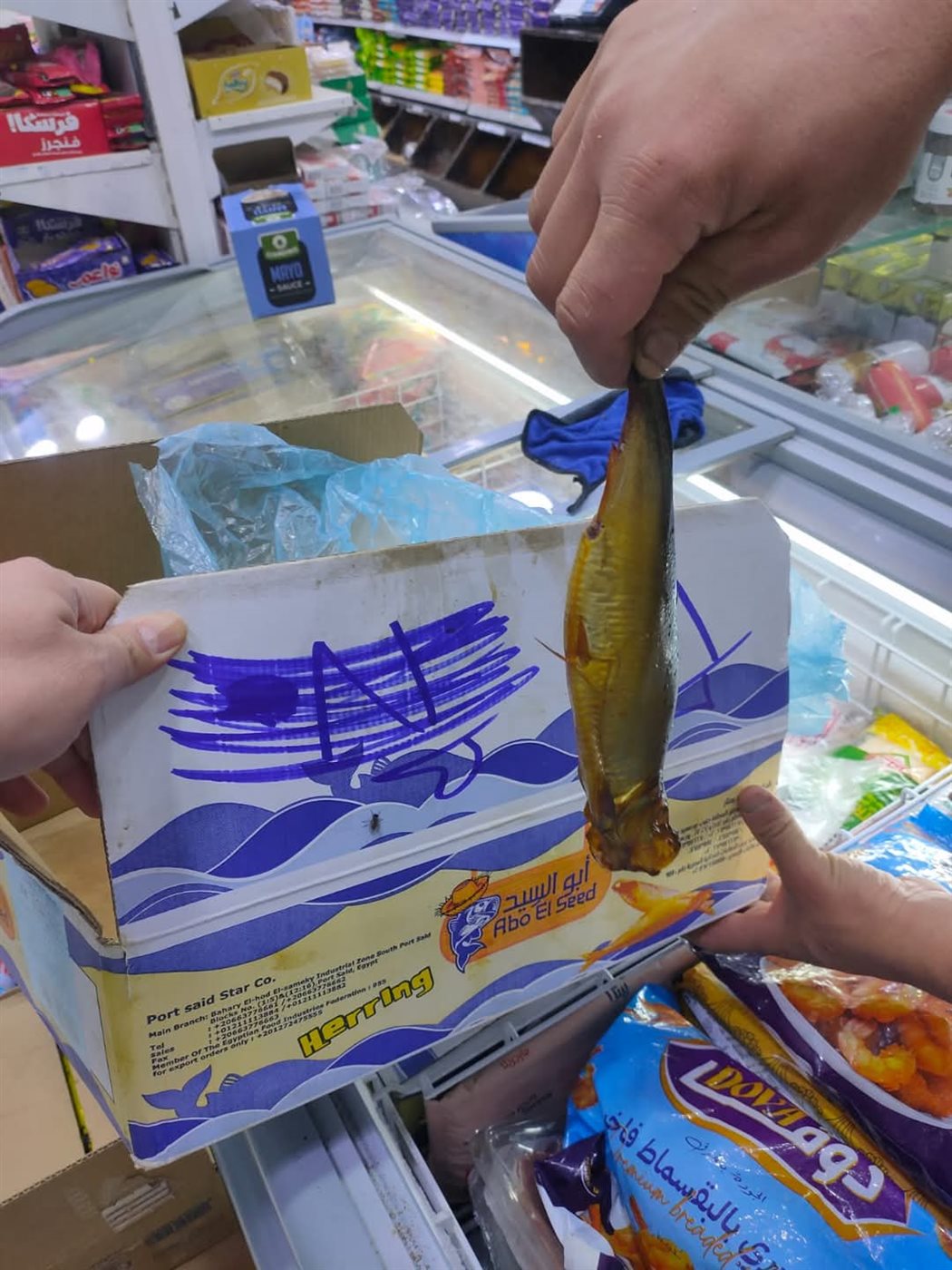 جانب من المضبوطات 