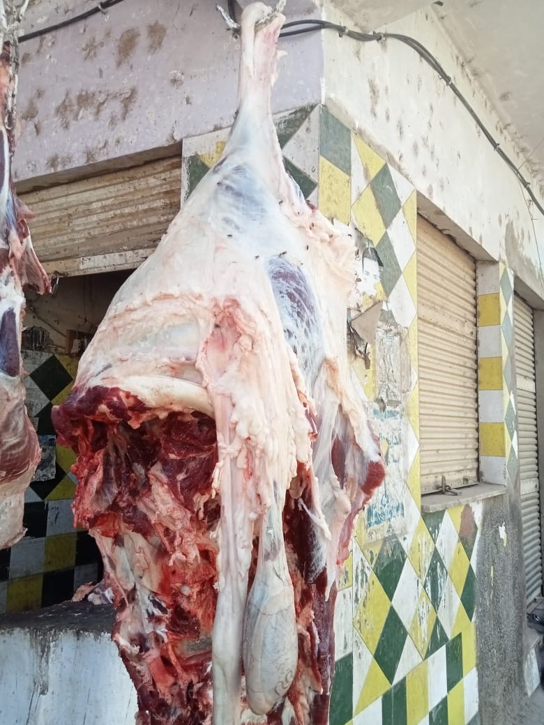 حملات للطب البيطري بالأقصر