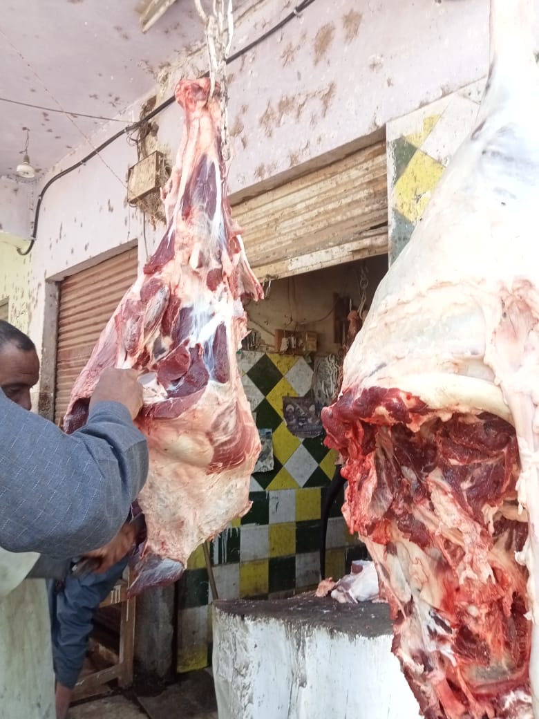 حملات للطب البيطري بالأقصر