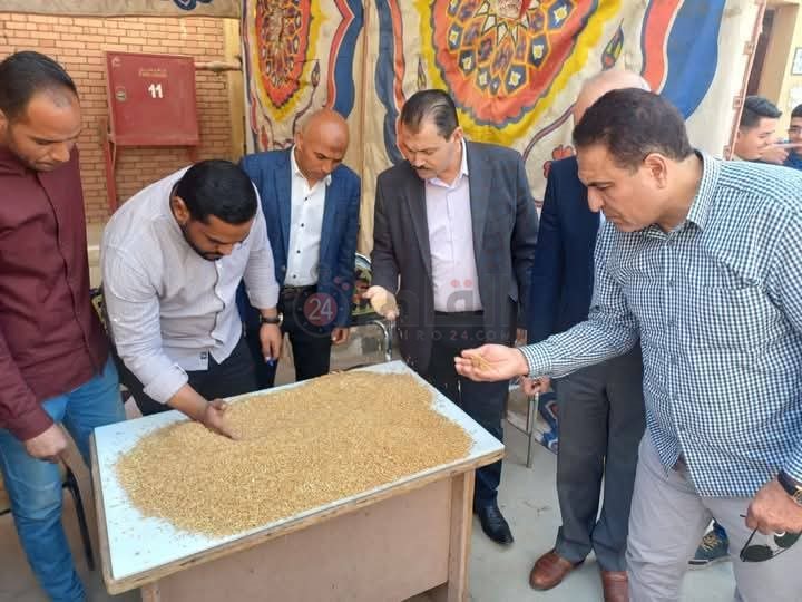 فرز دراجات القمح في صوامع طاميه بالفيوم