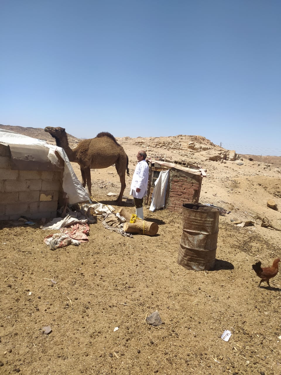 حملة التحصين ضد الحمى القلاعية بجنوب سيناء