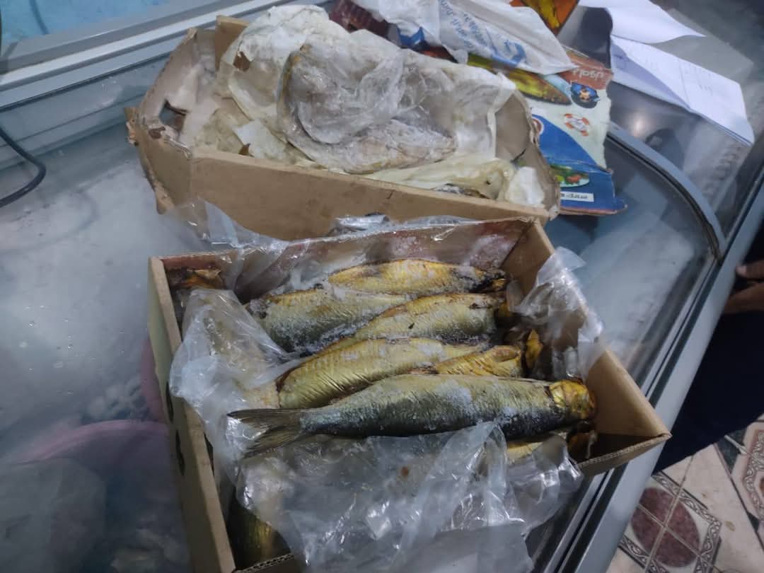 حملات على المحلات بالقصير 