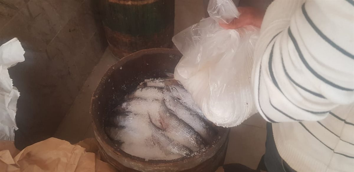 جانب من الحملات