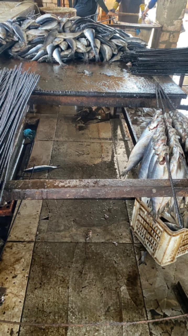 ضبط 4500 كجم أسماكا مدخنة داخل حظيرة مواشٍ