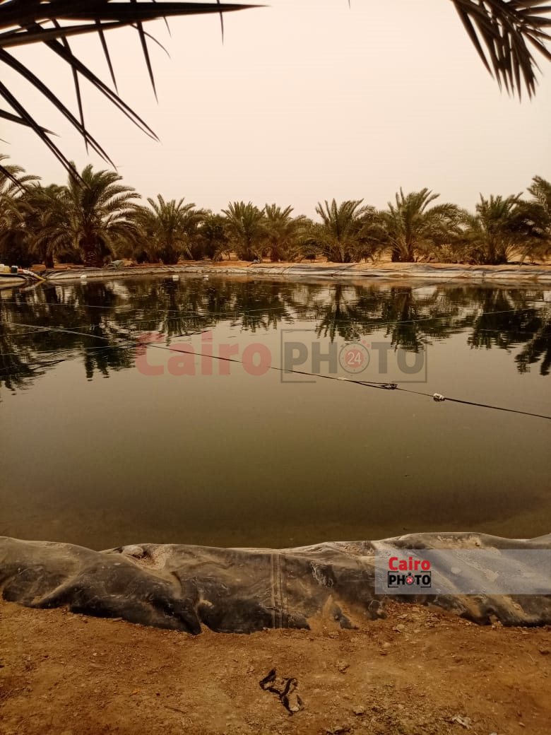 بئر الصرف الصحي