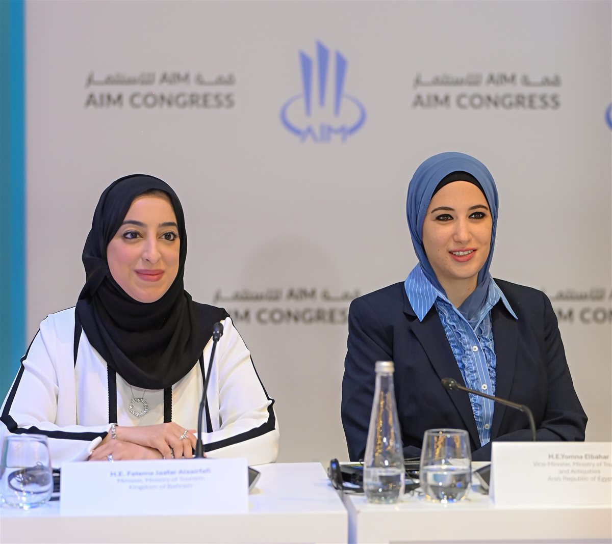 نائب وزير السياحة والآثار