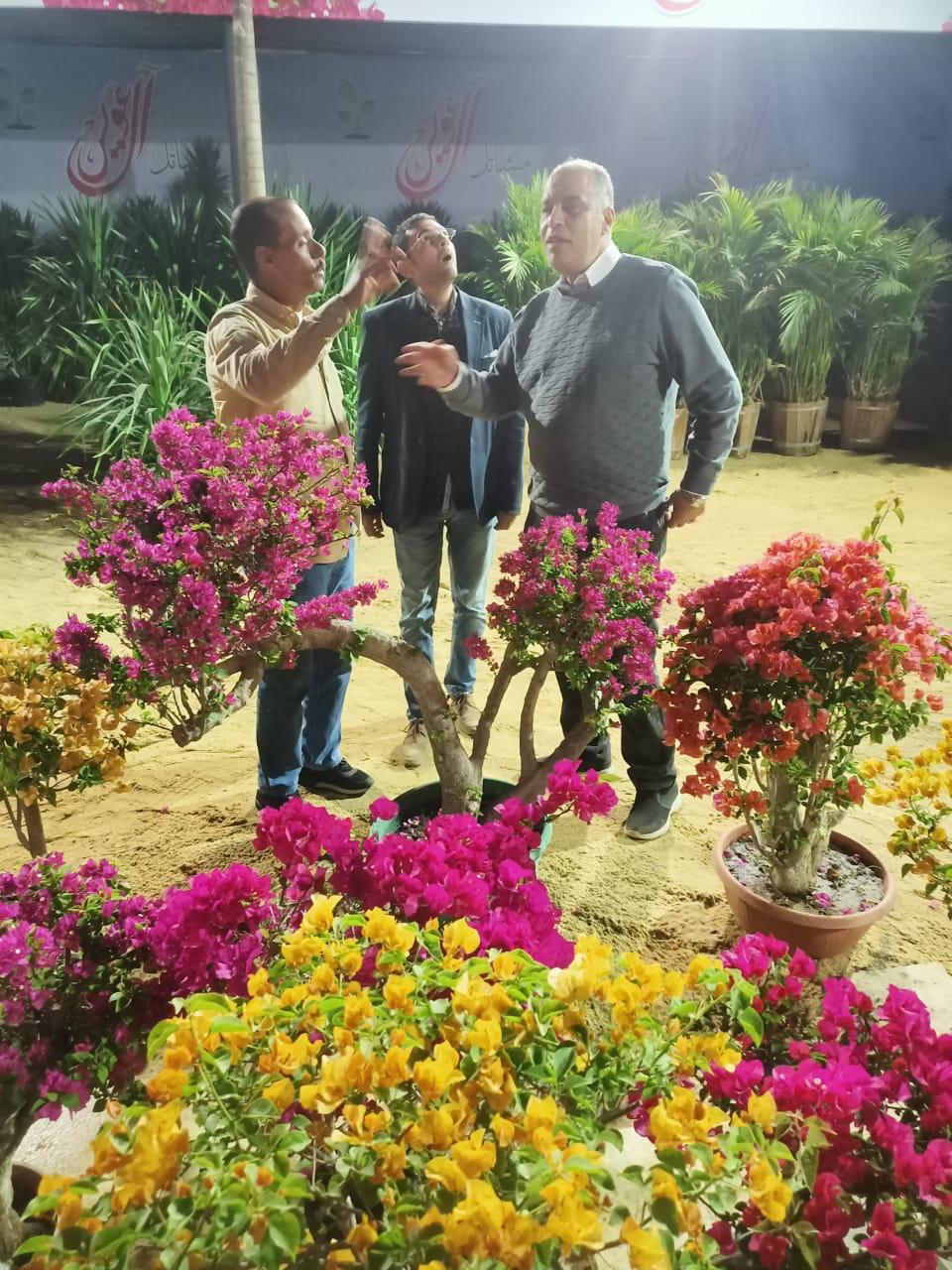 الاستعدادات النهائية لانطلاق معرض زهور الربيع