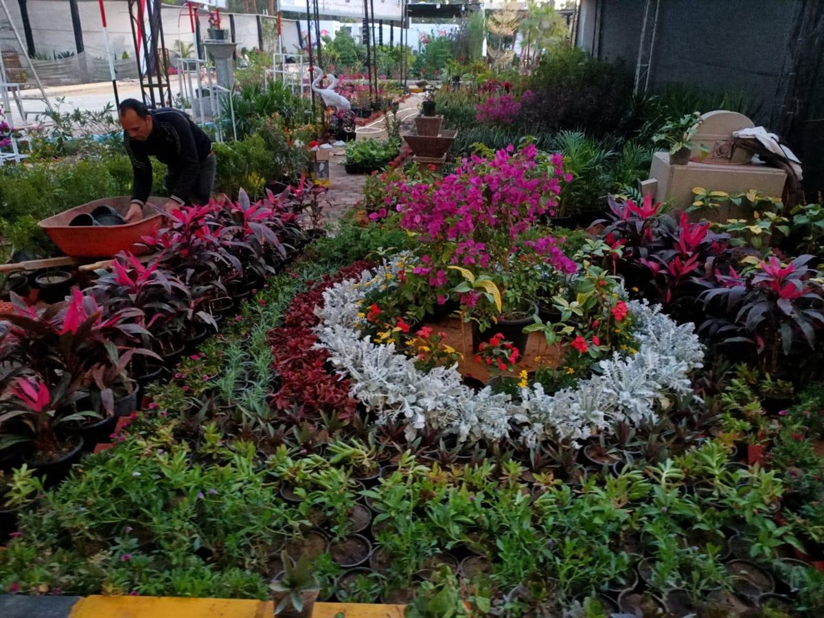 الاستعدادات النهائية لانطلاق معرض زهور الربيع