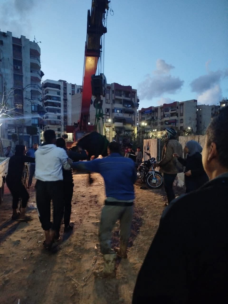 إنقاذ حصان ببورسعيد 