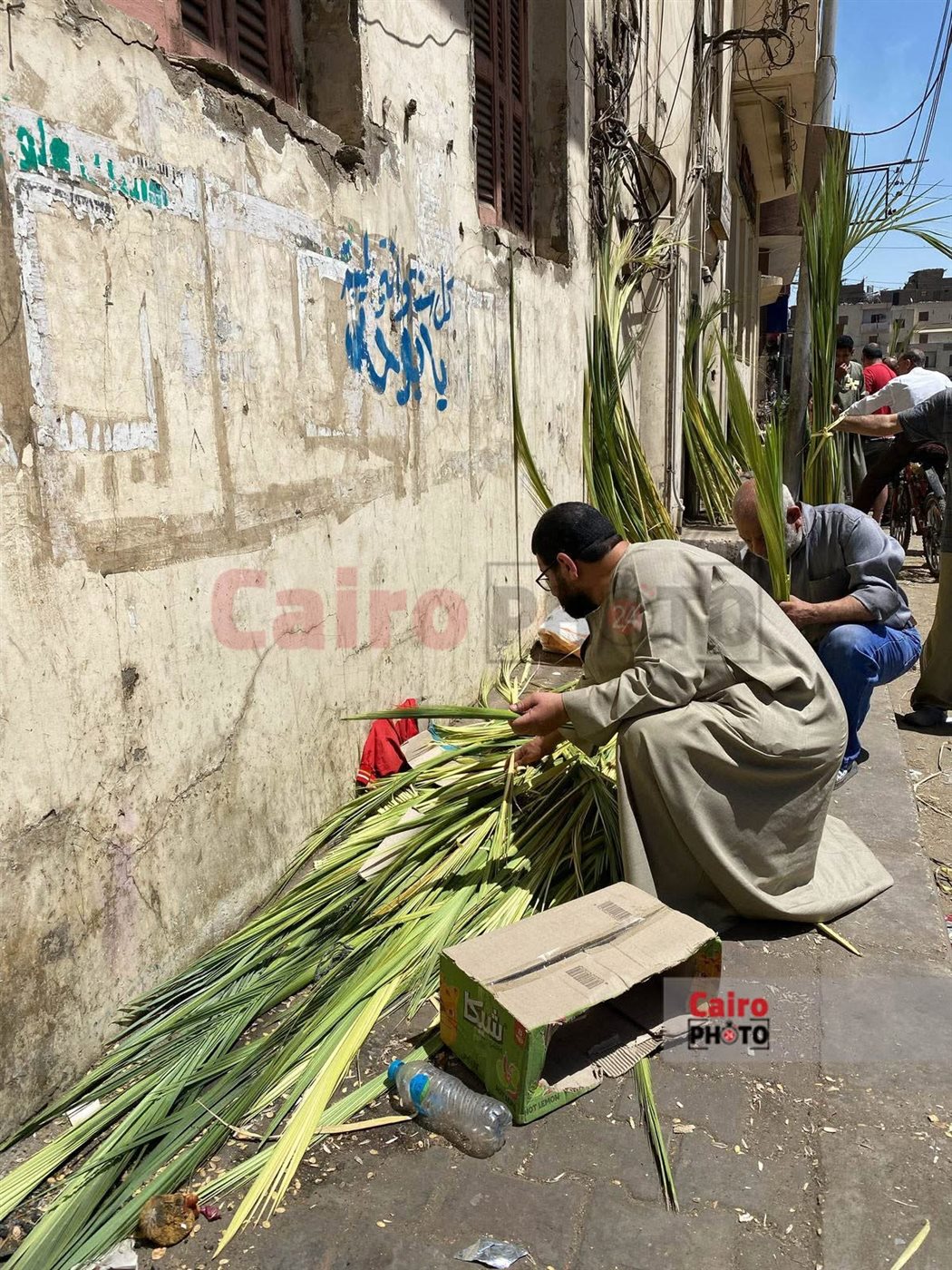 أهالي الأقصر يستعدون للاحتفال بأحد الشعانين