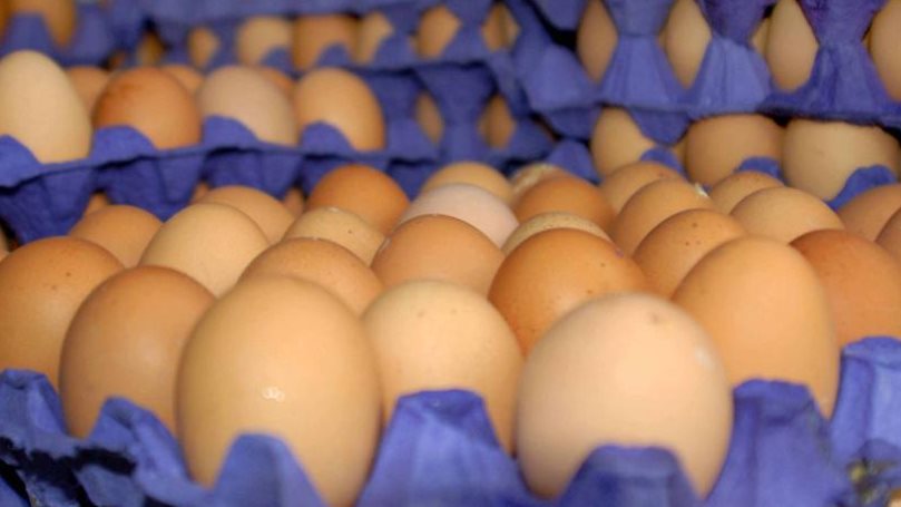 تفسير رؤية البيض النيء في المنام للمتزوجة