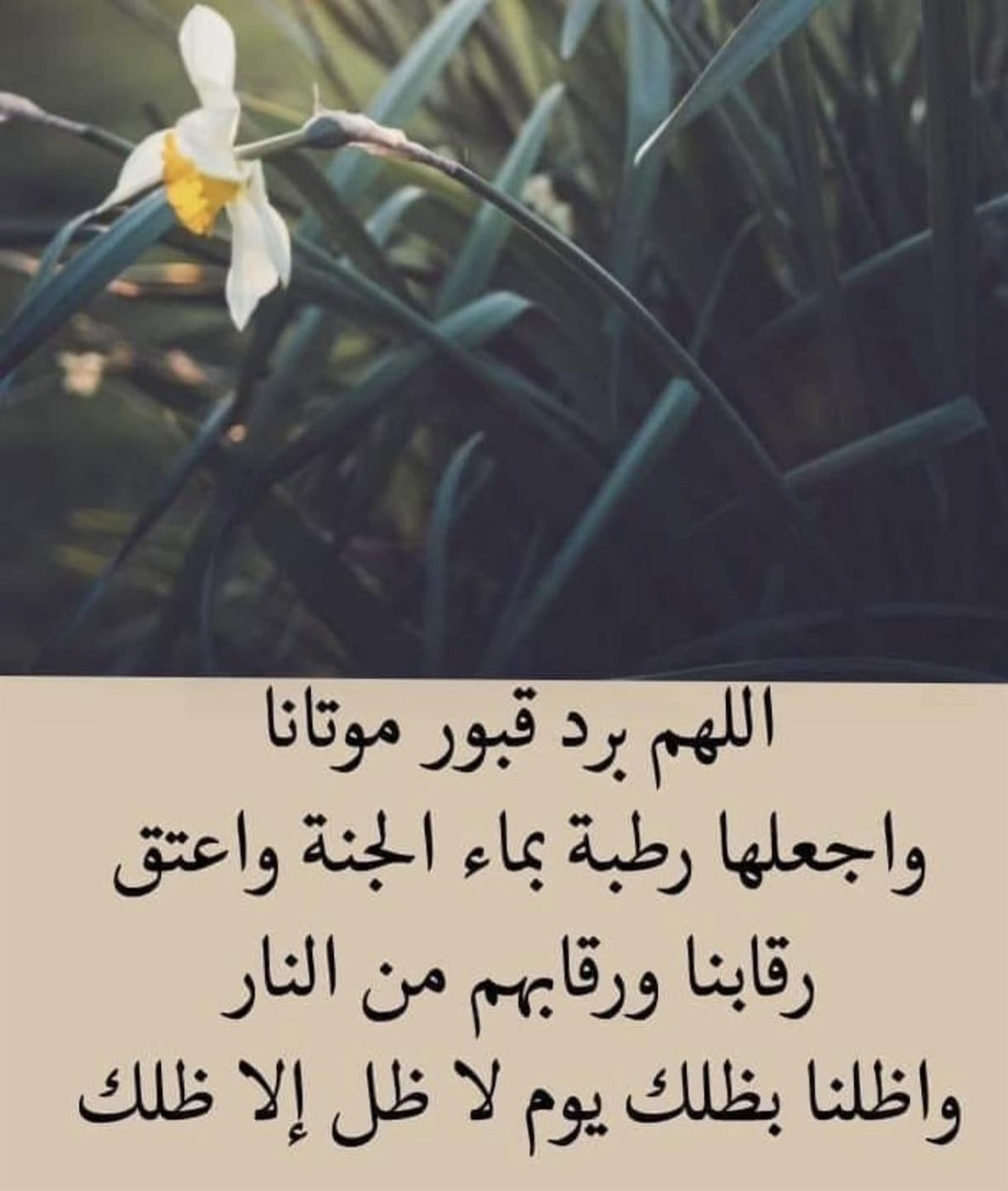 دعاء للأموات في قبورهم قصير